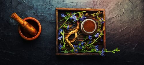 Différence entre la chicorée et le café